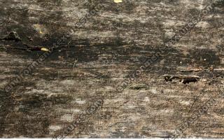 photo texture of wood bare 